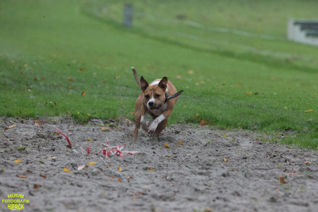 Ct3Q8397 37887076881 O