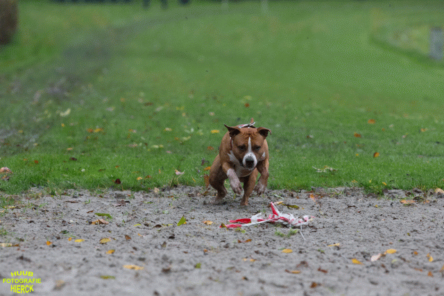 Ct3Q8394 37887077271 O