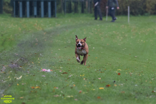 Ct3Q8391 37887078161 O