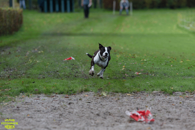 Ct3Q8714 37887112651 O