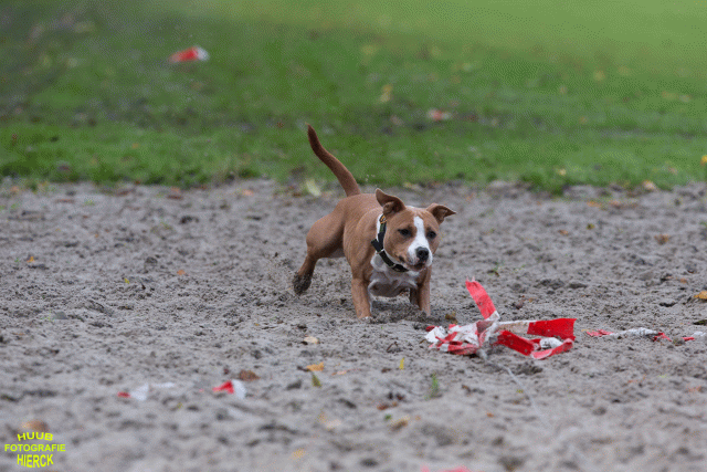 Ct3Q8711 37887112721 O