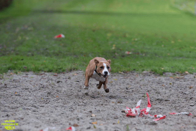 Ct3Q8709 37887112811 O