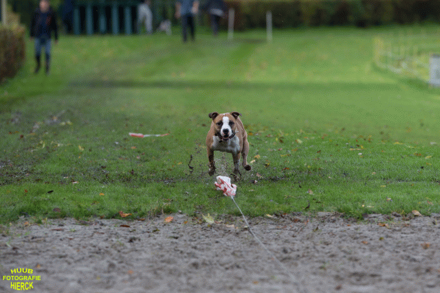 Ct3Q8661 37887115001 O