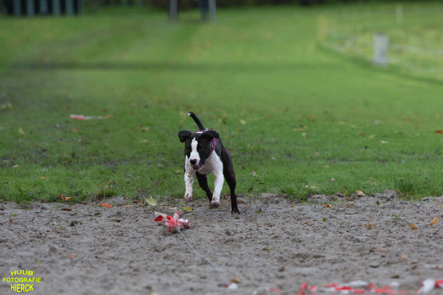 Ct3Q8653 37887115231 O