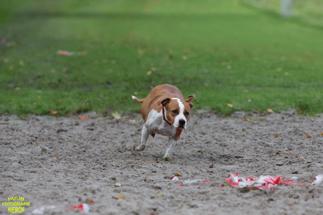 Ct3Q8646 37887115531 O