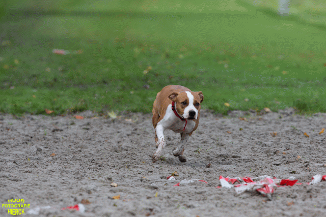 Ct3Q8647 37887115551 O