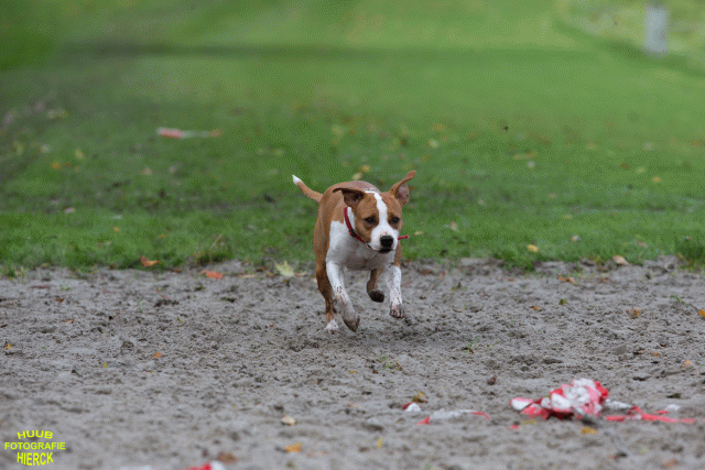 Ct3Q8644 37887115631 O