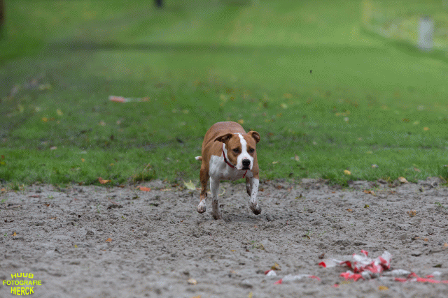 Ct3Q8643 37887115761 O