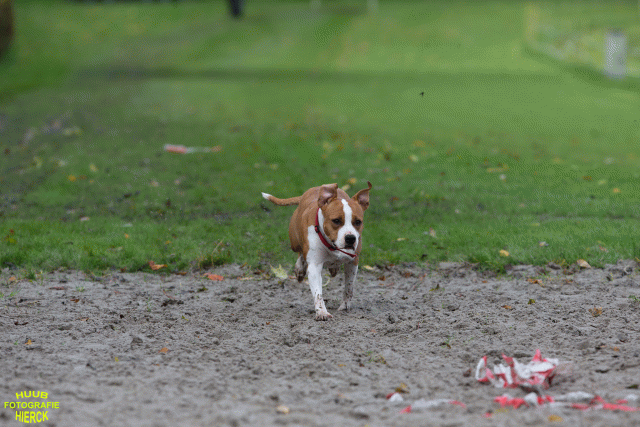 Ct3Q8642 37887115791 O