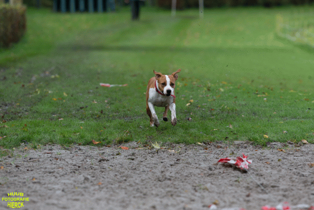 Ct3Q8637 37887116051 O