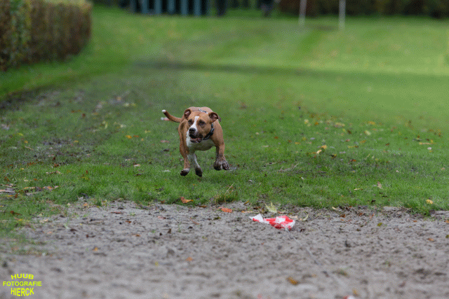 Ct3Q8614 37887117231 O