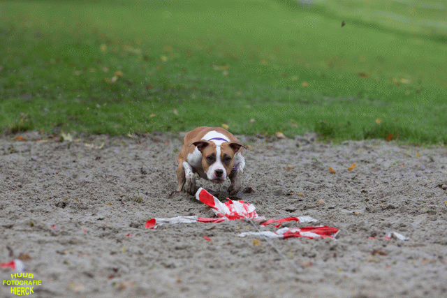 Ct3Q8606 37887117531 O