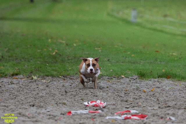 Ct3Q8603 37887117771 O