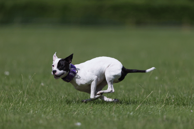 Cs3Q5814 19872819334 O