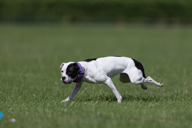 Cs3Q5813 19872820154 O