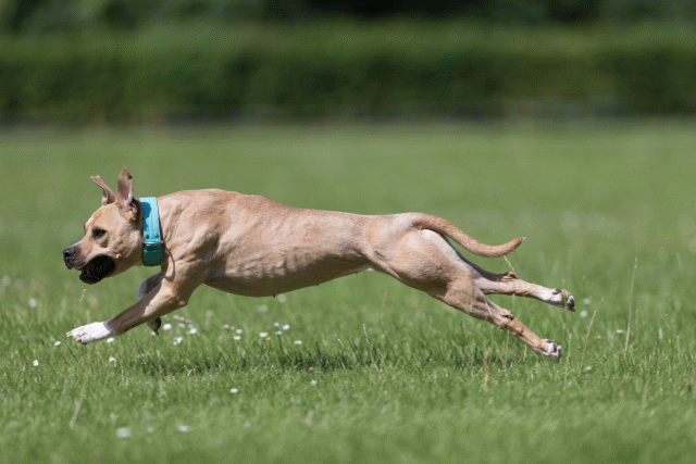 Cs3Q5783 19872852654 O