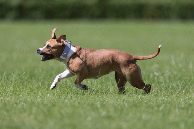 Cs3Q5725 19872899384 O