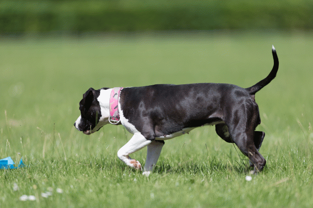 Cs3Q5712 19872913184 O