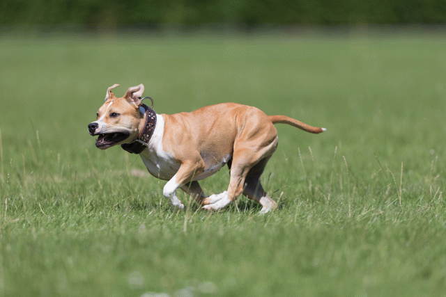 Cs3Q5696 19872927654 O