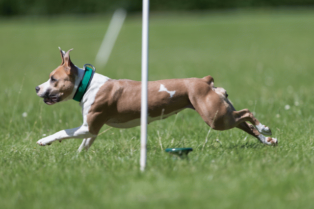 Cs3Q5691 19872932144 O