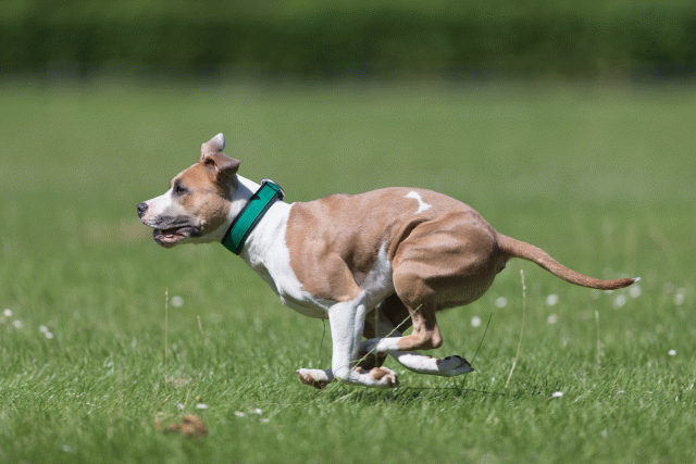 Cs3Q5686 19872934374 O