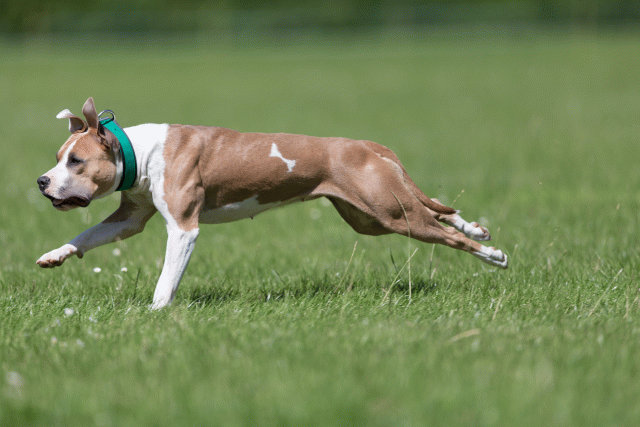 Cs3Q5681 19872940494 O