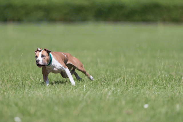 Cs3Q5678 19872943844 O