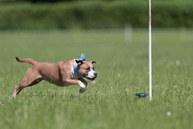 Cs3Q5588 19873013944 O