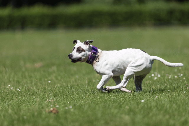 Cs3Q5567 19873034924 O