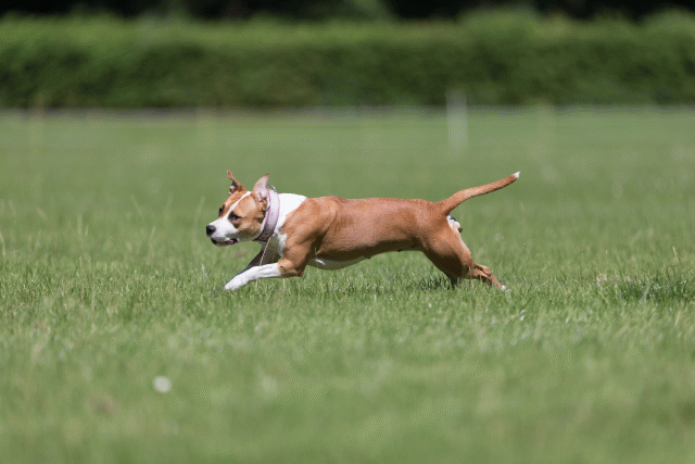 Cs3Q5544 19873063214 O