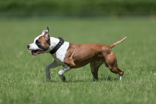 Cs3Q5536 19873072164 O