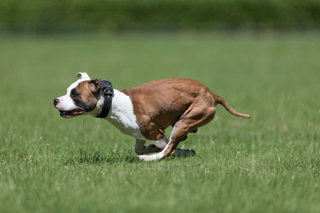 Cs3Q5535 19873073904 O