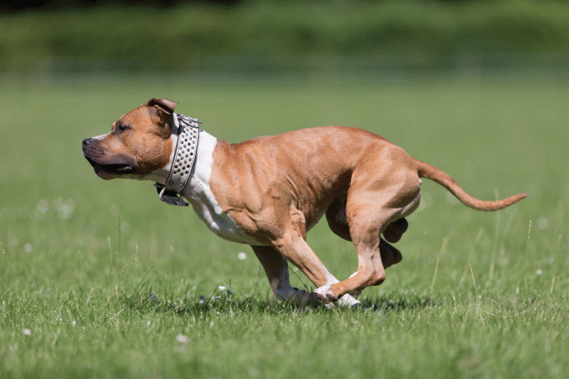 Cs3Q5520 19873080564 O