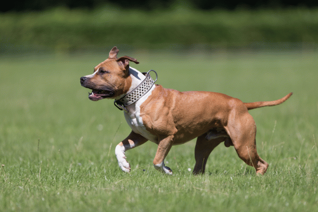 Cs3Q5517 19873084364 O