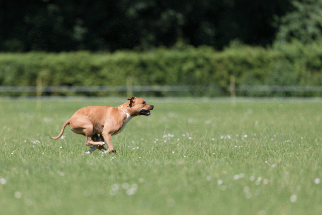 Cs3Q5508 19873098264 O