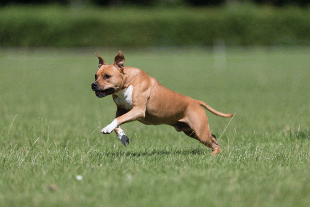 Cs3Q5486 19873119204 O