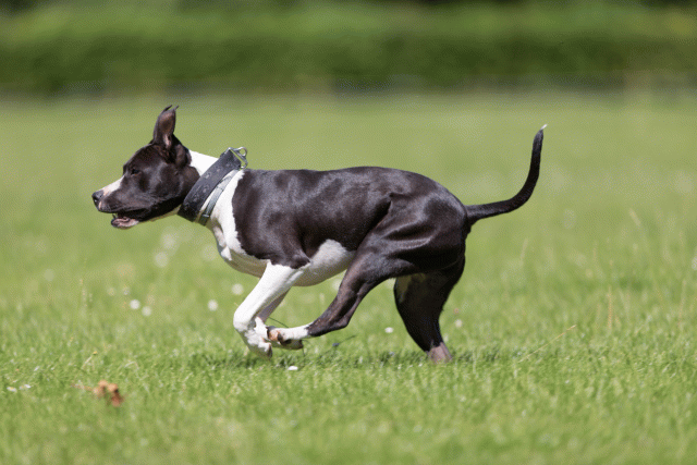 Cs3Q5439 19873153904 O