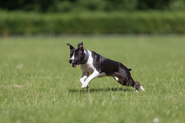 Cs3Q5426 19873169534 O