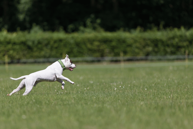 Cs3Q5422 19873174564 O