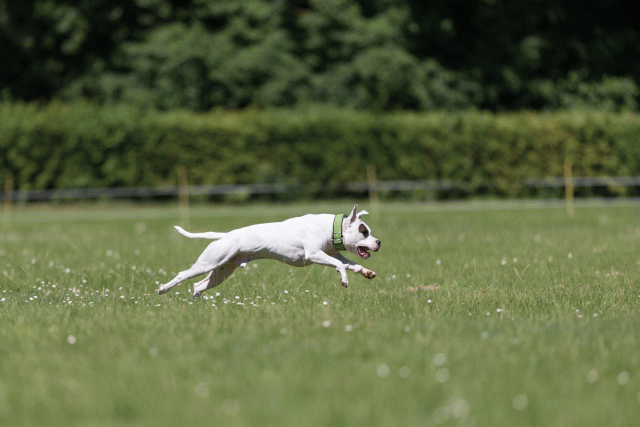 Cs3Q5410 19873181104 O