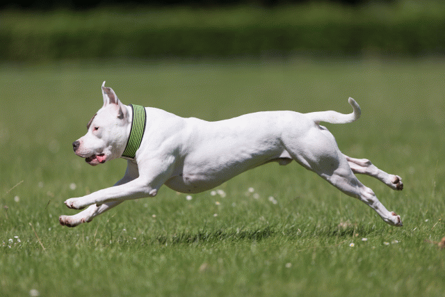 Cs3Q5403 19873189424 O