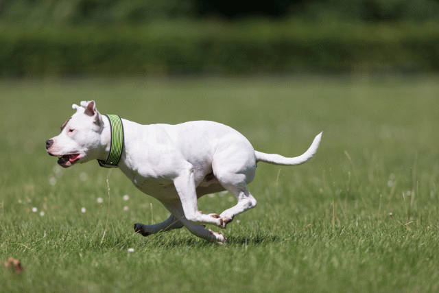 Cs3Q5401 19873192484 O