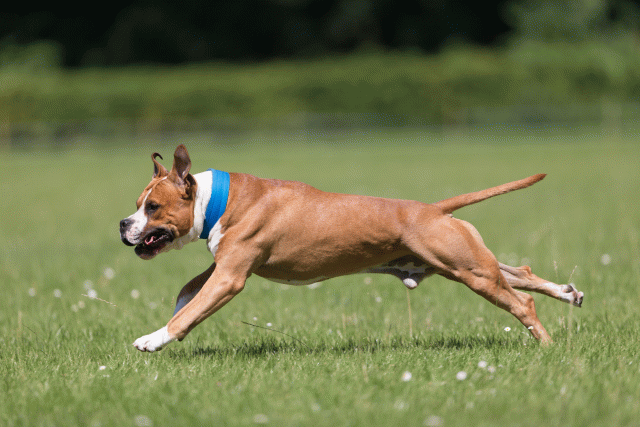 Cs3Q5369 19873219524 O