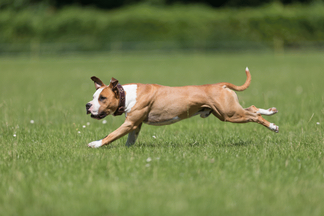 Cs3Q5337 19873254024 O