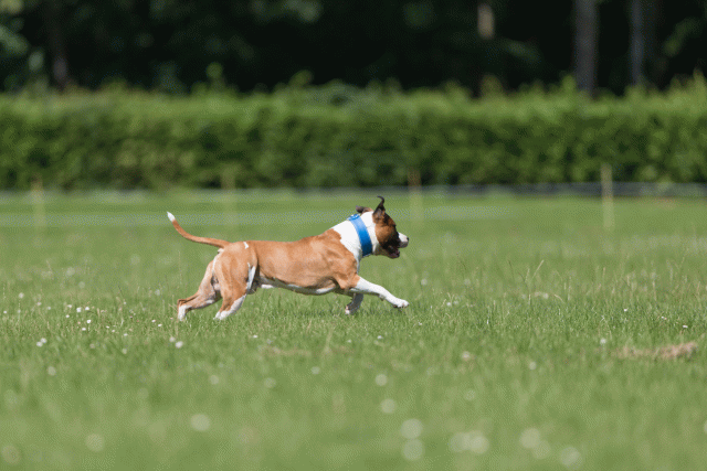 Cs3Q5311 19873271614 O