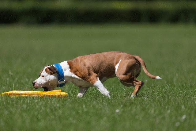 Cs3Q5293 19873289974 O