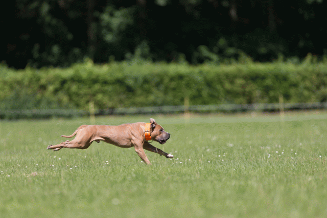 Cs3Q5288 19873292164 O