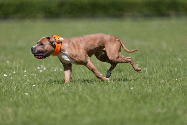 Cs3Q5273 19873304694 O