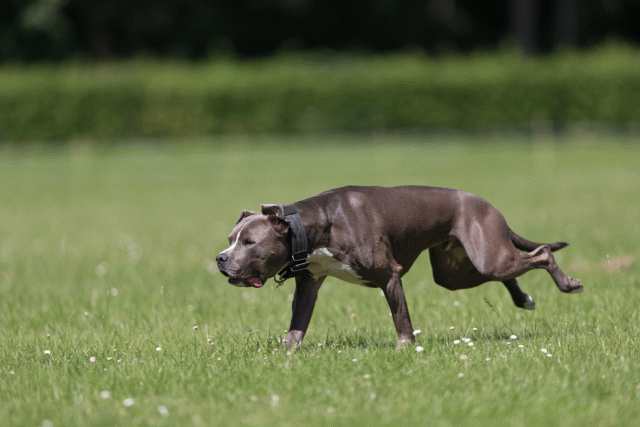 Cs3Q5258 19873319374 O