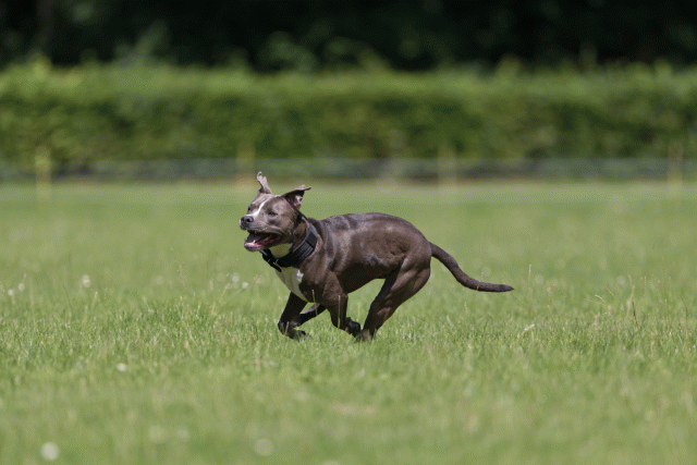 Cs3Q5249 19873328774 O